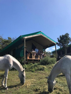 Trees&Seas - Glamping with farm animals